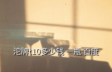 沱牌t10多少錢 一瓶 百度