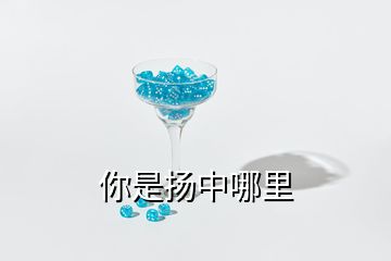 你是揚中哪里