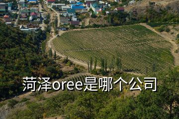 菏澤oree是哪個(gè)公司