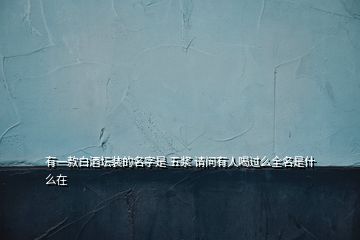 有一款白酒壇裝的名字是 五漿 請(qǐng)問有人喝過(guò)么全名是什么在