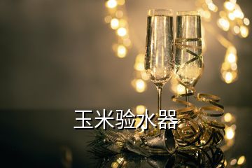 玉米驗(yàn)水器