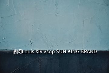 請問Louis XIV vsop SUN KING BRAND