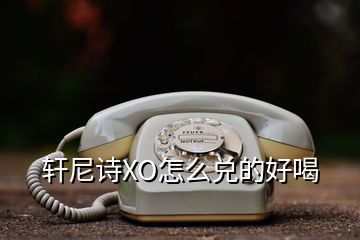 軒尼詩XO怎么兌的好喝