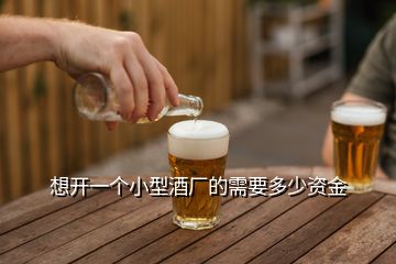 想開一個小型酒廠的需要多少資金