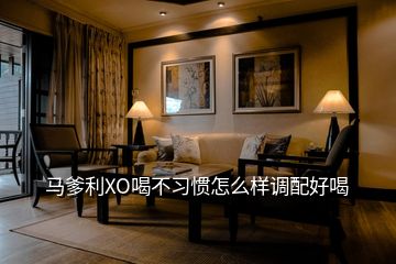 馬爹利XO喝不習(xí)慣怎么樣調(diào)配好喝