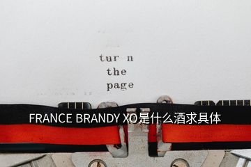 FRANCE BRANDY XO是什么酒求具體