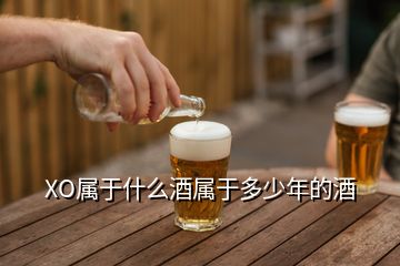 XO屬于什么酒屬于多少年的酒