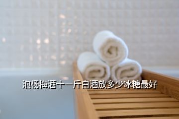 泡楊梅酒十一斤白酒放多少冰糖最好