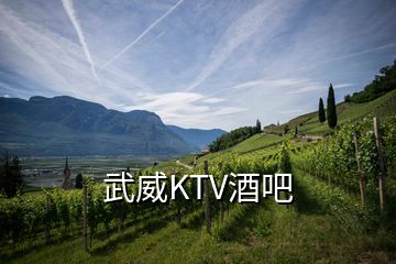 武威KTV酒吧