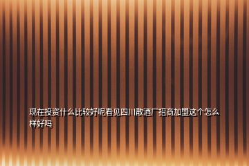 現(xiàn)在投資什么比較好呢看見四川散酒廠招商加盟這個(gè)怎么樣好嗎