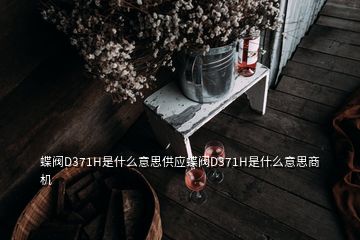 蝶閥D371H是什么意思供應(yīng)蝶閥D371H是什么意思商機(jī)