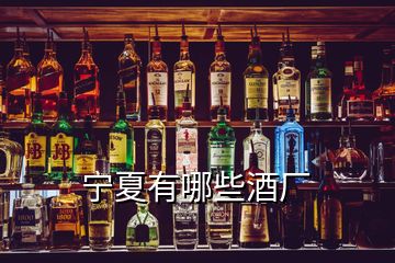 寧夏有哪些酒廠