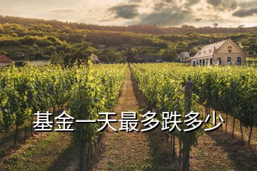 基金一天最多跌多少