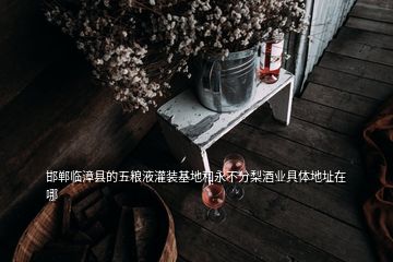 邯鄲臨漳縣的五糧液灌裝基地和永不分梨酒業(yè)具體地址在哪