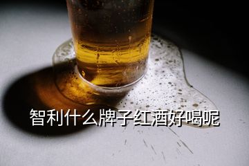 智利什么牌子紅酒好喝呢