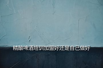 精釀啤酒培訓(xùn)加盟好還是自己做好