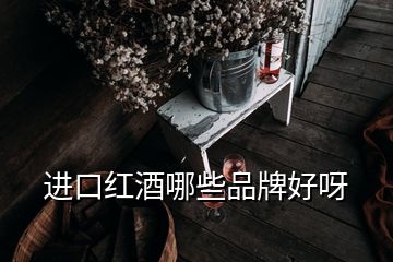 進口紅酒哪些品牌好呀