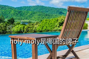 holy moly是哪國(guó)的牌子