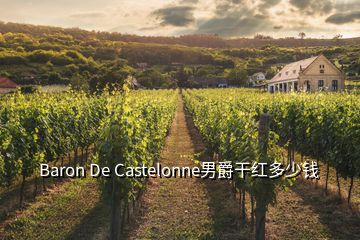 Baron De Castelonne男爵干紅多少錢