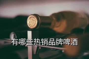 有哪些熱銷品牌啤酒