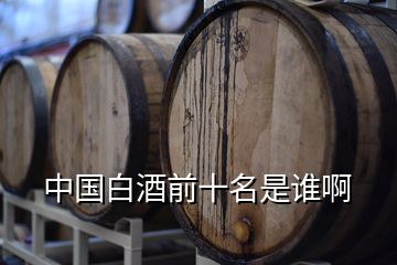 中國(guó)白酒前十名是誰啊