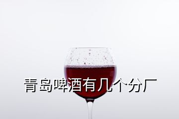 青島啤酒有幾個(gè)分廠