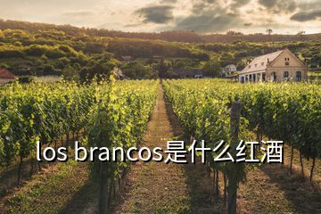 los brancos是什么紅酒