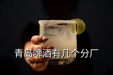 青島啤酒有幾個(gè)分廠