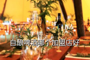 自釀啤酒哪個加盟店好