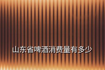 山東省啤酒消費(fèi)量有多少