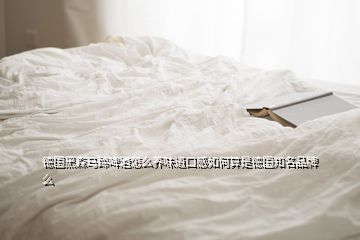 德國黑森馬蹄啤酒怎么養(yǎng)味道口感如何算是德國知名品牌么