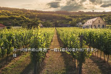 問一問徐州嶗山啤酒廠一箱12瓶500毫升出廠價多少錢