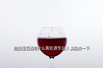 自釀葡萄酒有什么害處請(qǐng)專業(yè)人事指點(diǎn)一下