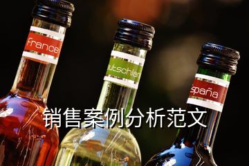 銷售案例分析范文