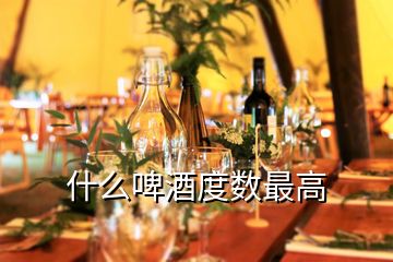 什么啤酒度數(shù)最高