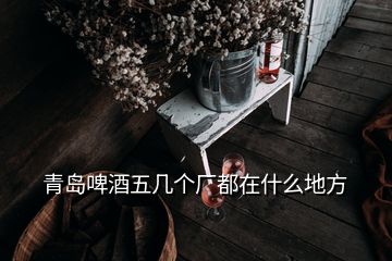 青島啤酒五幾個(gè)廠都在什么地方