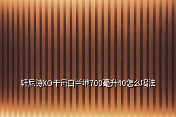 軒尼詩XO干邑白蘭地700毫升40怎么喝法