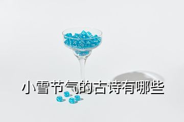 小雪節(jié)氣的古詩有哪些