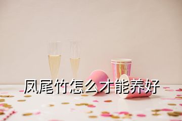 鳳尾竹怎么才能養(yǎng)好