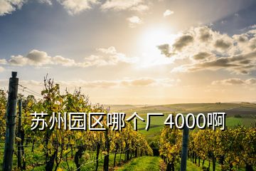 蘇州園區(qū)哪個廠4000啊