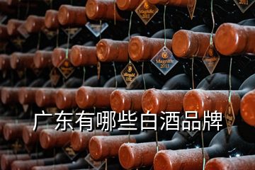 廣東有哪些白酒品牌