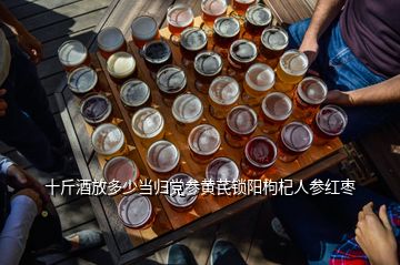 十斤酒放多少當歸黨參黃芪鎖陽枸杞人參紅棗