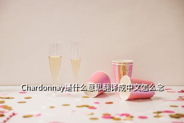 Chardonnay是什么意思翻譯成中文怎么念