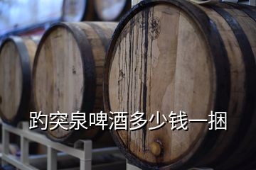 趵突泉啤酒多少錢(qián)一捆