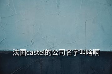 法國(guó)castel的公司名字叫啥啊