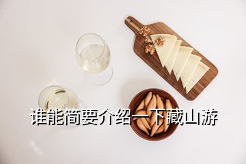 誰能簡要介紹一下藏山游