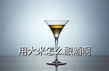 用大米怎么釀酒啊