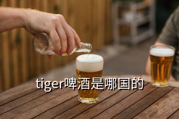 tiger啤酒是哪國的