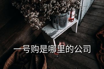 一號購是哪里的公司