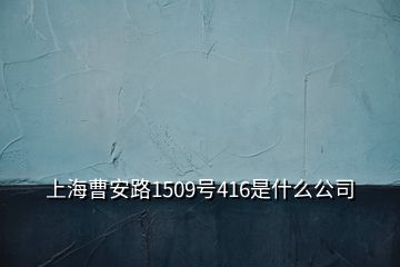 上海曹安路1509號416是什么公司